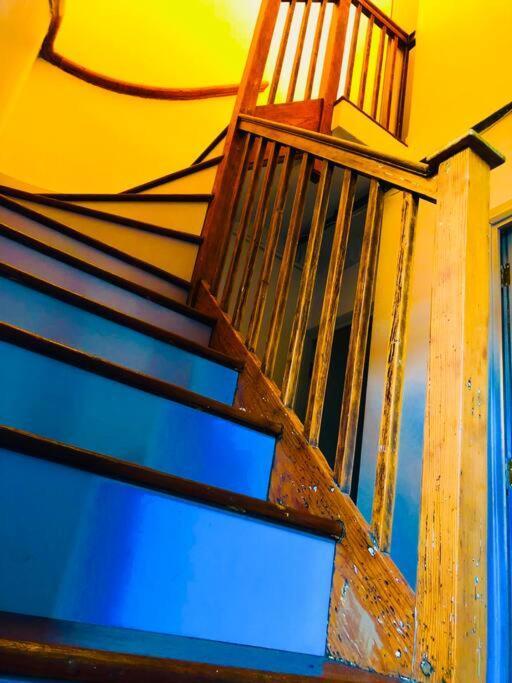 Carpe Diem Flat Near Zone 1 Apartment *