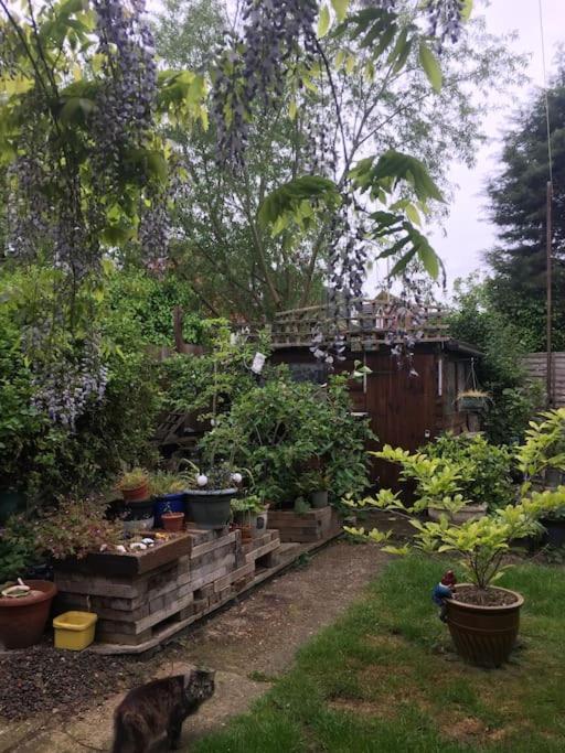Carpe Diem Flat Near Zone 1 Apartment London
