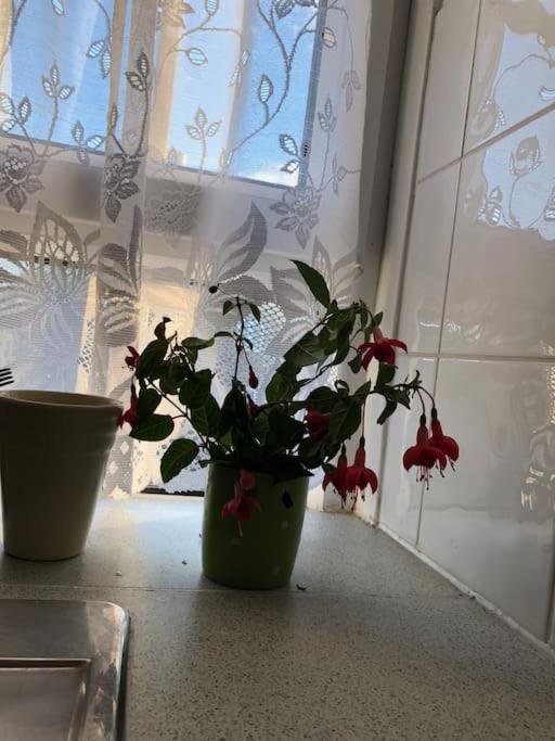 Carpe Diem Flat Near Zone 1 Apartment London
