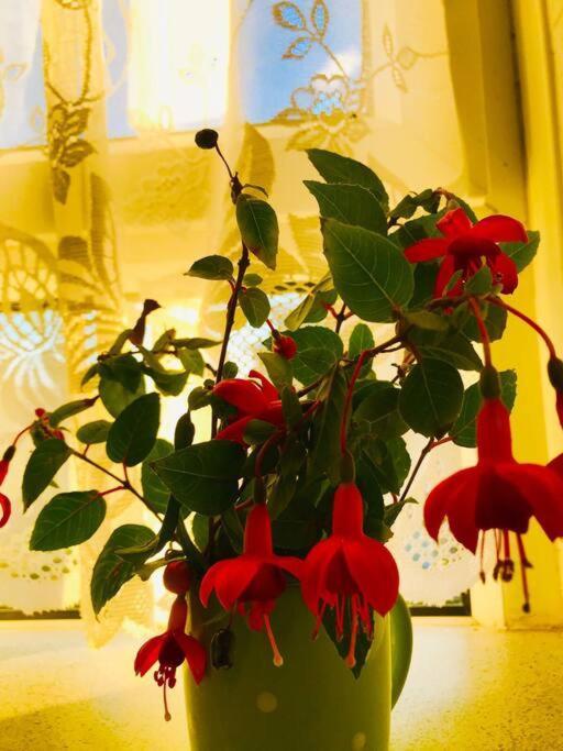 Carpe Diem Flat Near Zone 1 Apartamento Londres