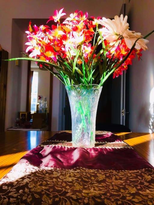 Carpe Diem Flat Near Zone 1 Apartamento