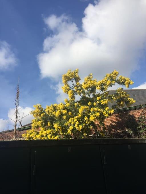 Carpe Diem Flat Near Zone 1 * Londres